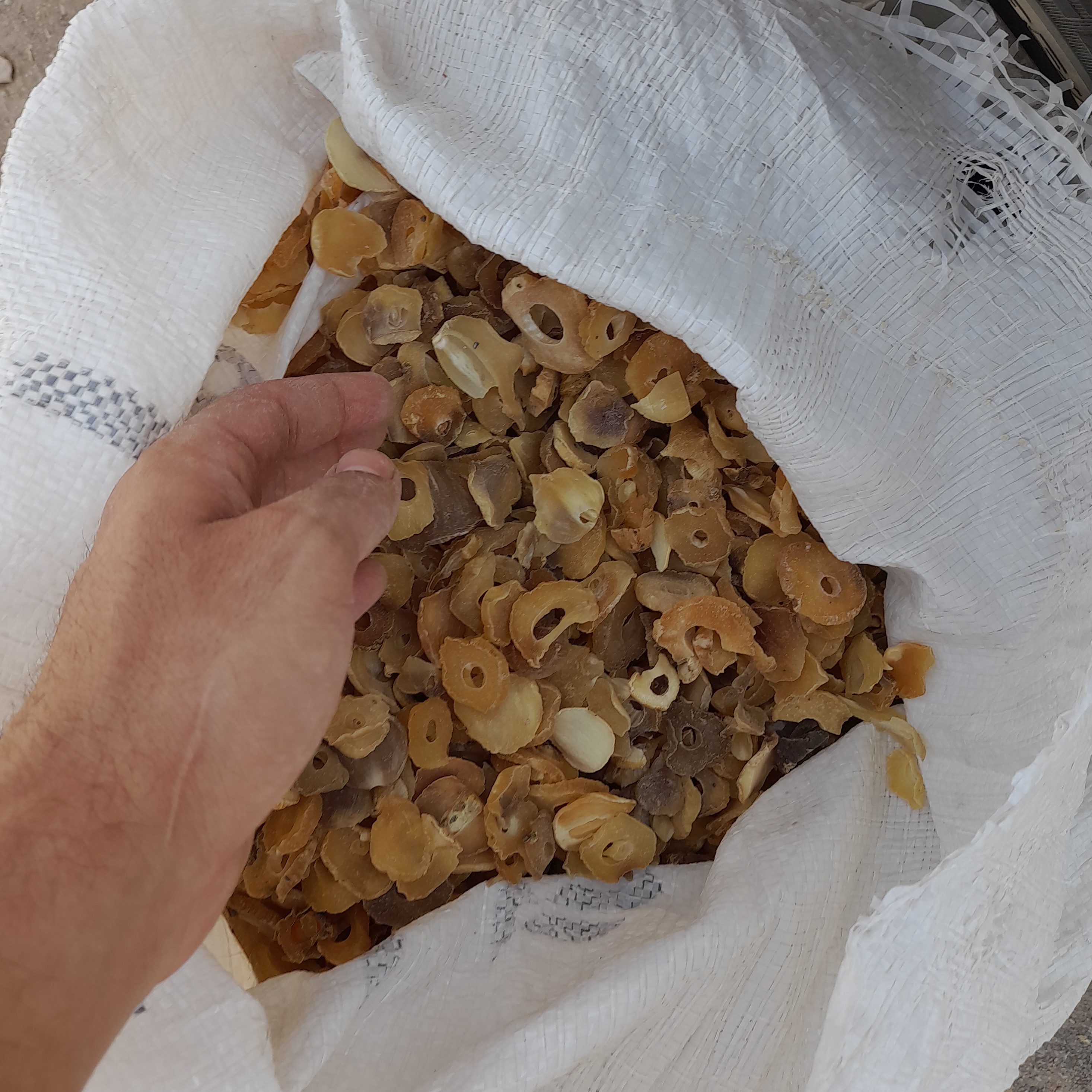 موسیر  صادراتی ممتاز 