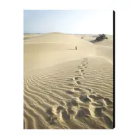 تابلو شاسی بارمان مدل N282