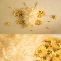 بک دراپ عکاسی نوزاد زنبور | گرافیک با طعم تربچه