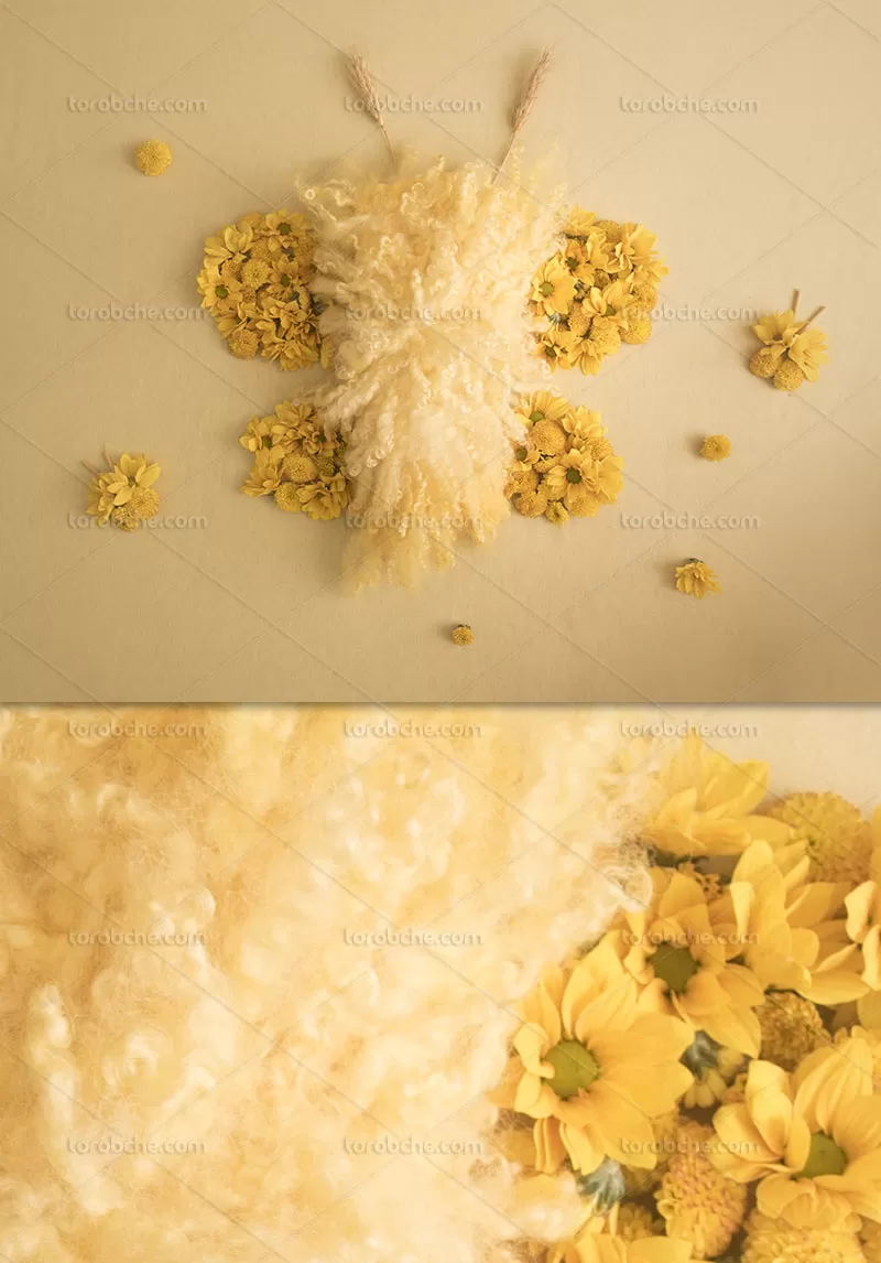 بک دراپ عکاسی نوزاد زنبور | گرافیک با طعم تربچه