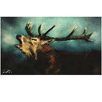 تابلو شاسی مدل گوزن قرمز