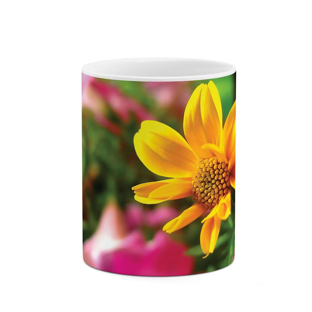 ماگ طرح گل مدل mgs05219