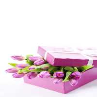 خرید و دانلود عکس IranBCS کد 28498 | پیک فاکس | Pic Fox
