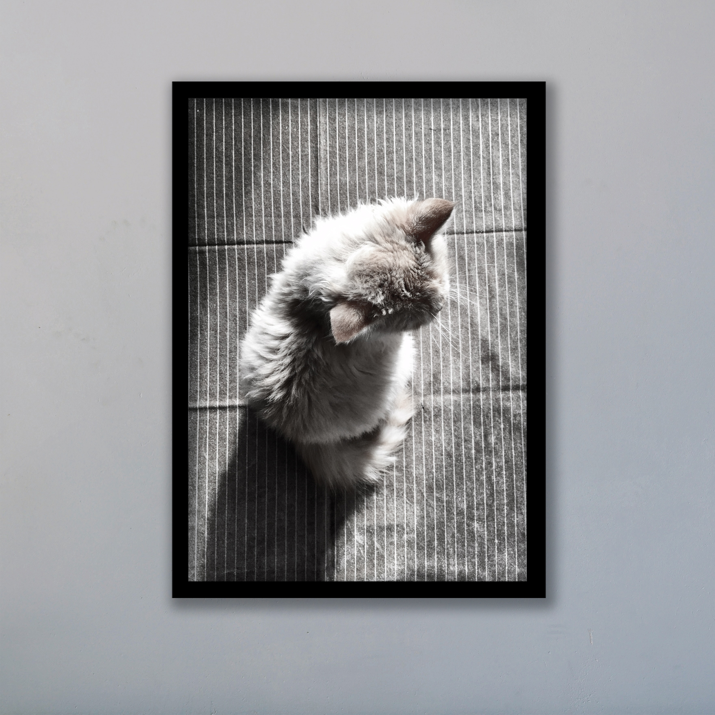 تابلو مدل گربه کد LA-G10246