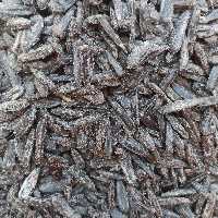 تخمه آفتابگردان مشکی خوی داغ نمکی (1 کیلو)