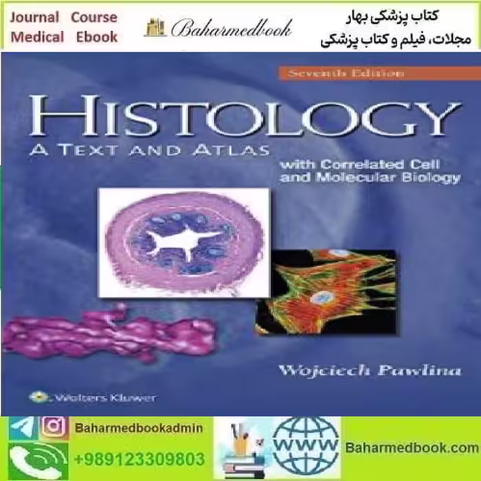 Histology With Correlated Cell and Molecular