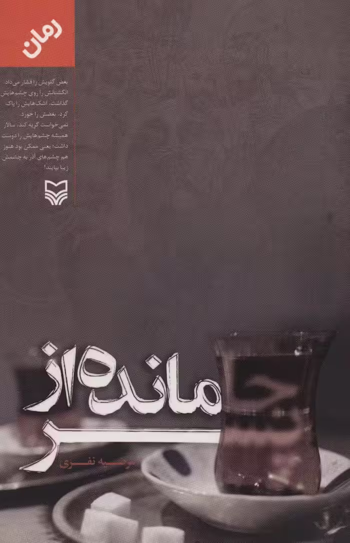 جامانده از پسر - ناشربوک | خرید آنلاین کتاب