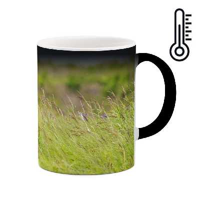 ماگ حرارتی طرح خرس مدل mgph10870