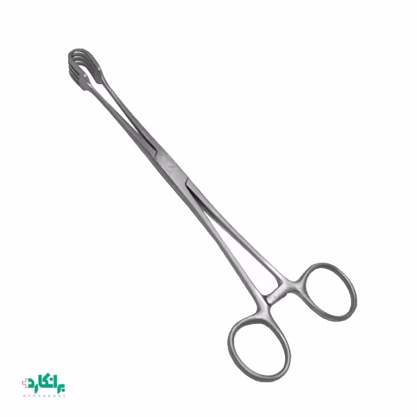 پنس تناکولوم هشت شاخه-پنس کل هشت شاخه-مدل چرنی
