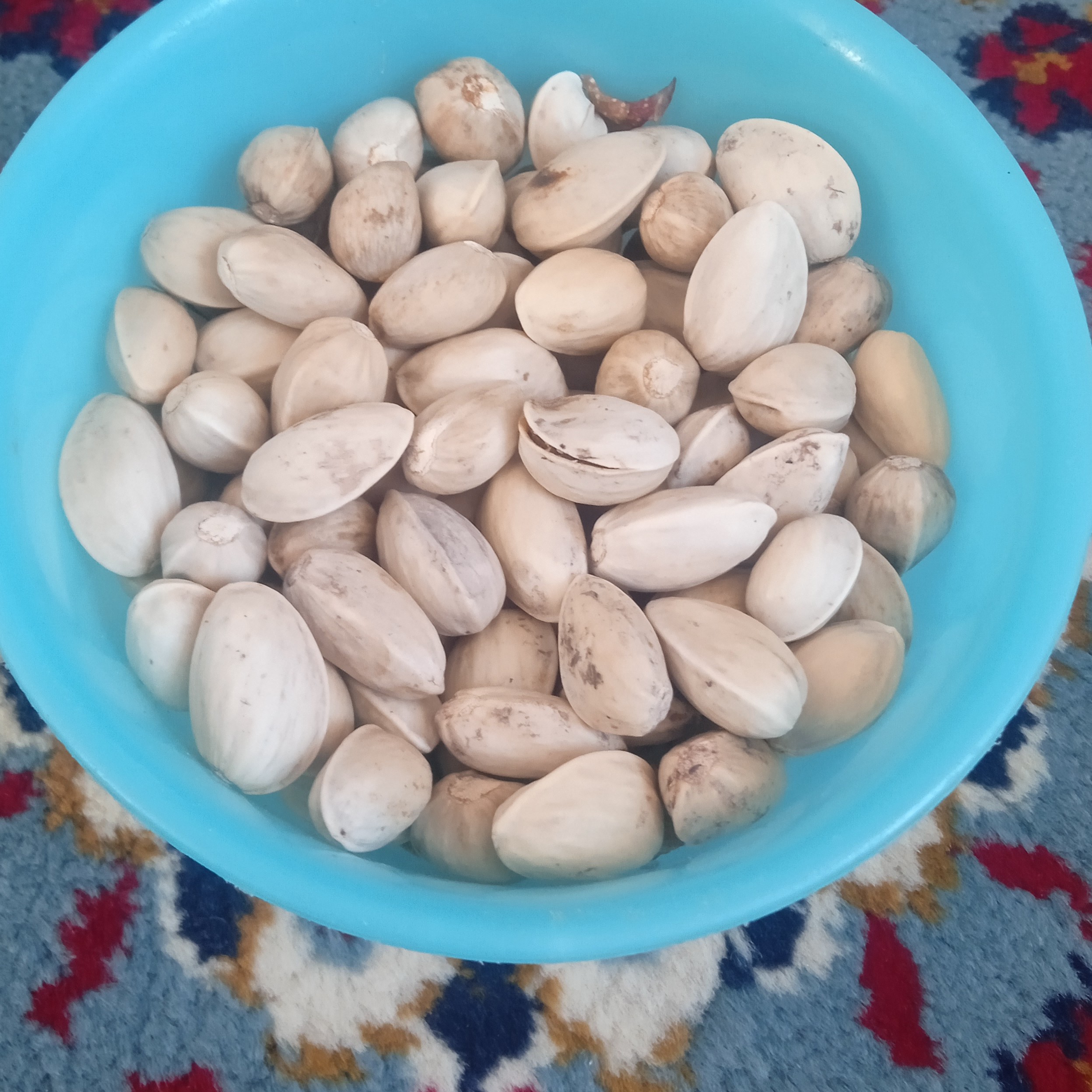 پسته دهن بسته 3 کیلو 