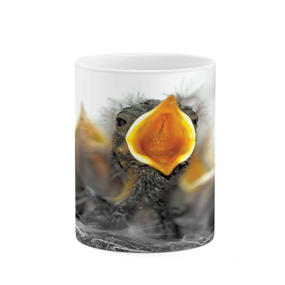 ماگ طرح جوجه مدل mgs05446