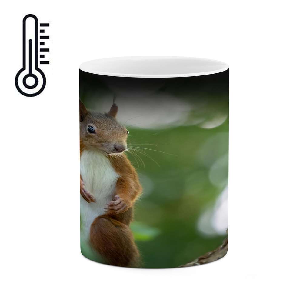 ماگ حرارتی کاکتی طرح سنجاب مدل mgh15710