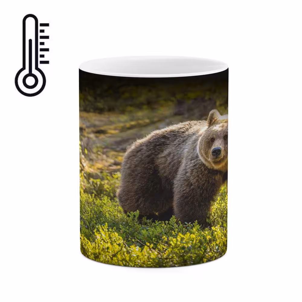 ماگ حرارتی کاکتی طرح خرس مدل mgh16523