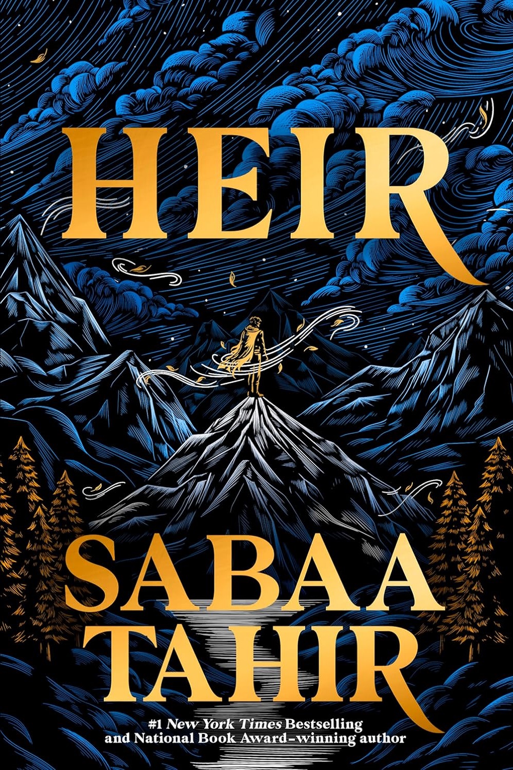 Heir (Heir Duology Book 1)