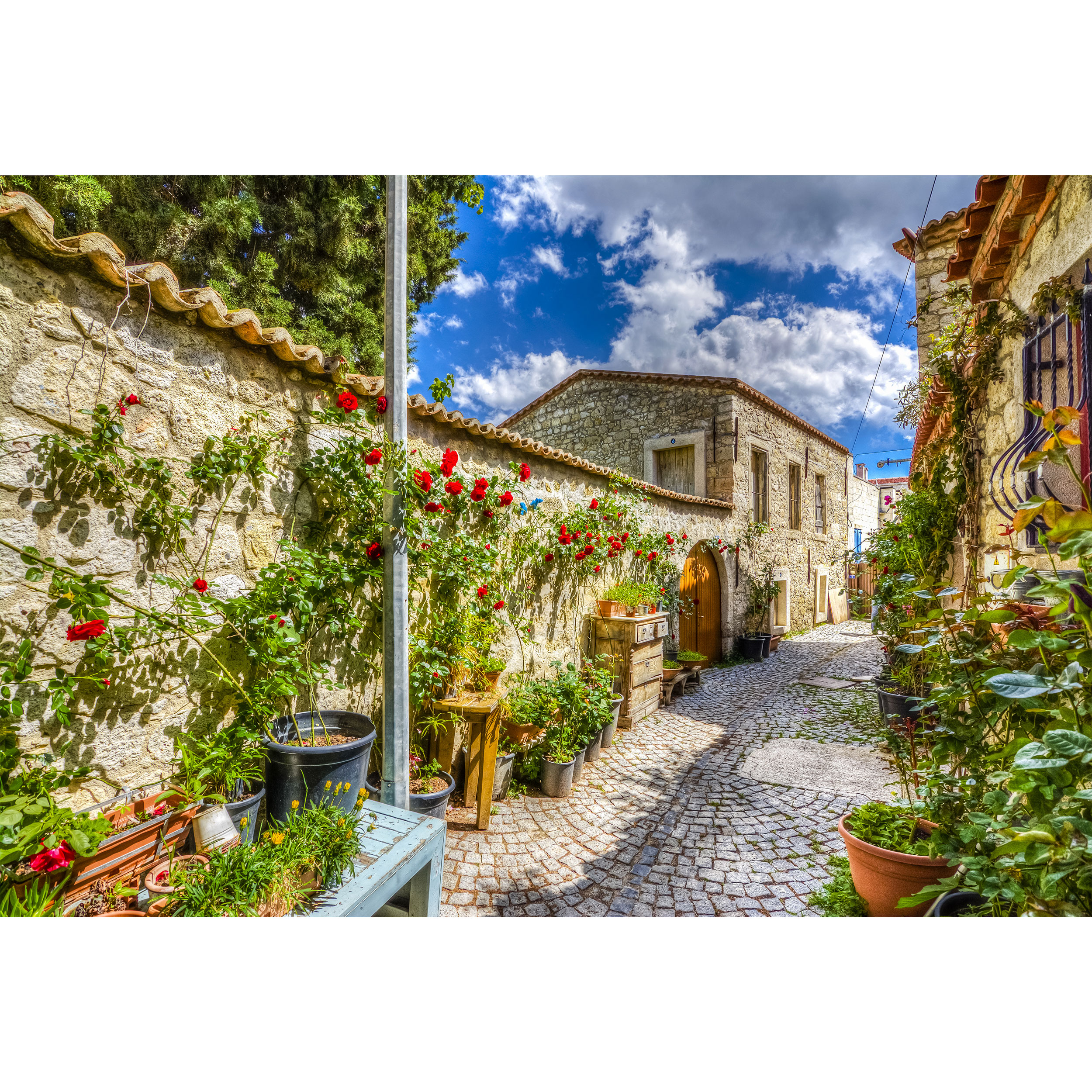 تابلو شاسی طرح کوچه و سنگ فرش در بلغارستان مدل T1007