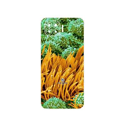 برچسب پوششی ماهوت مدل Atom Universe 6 مناسب برای گوشی موبایل اپو A93