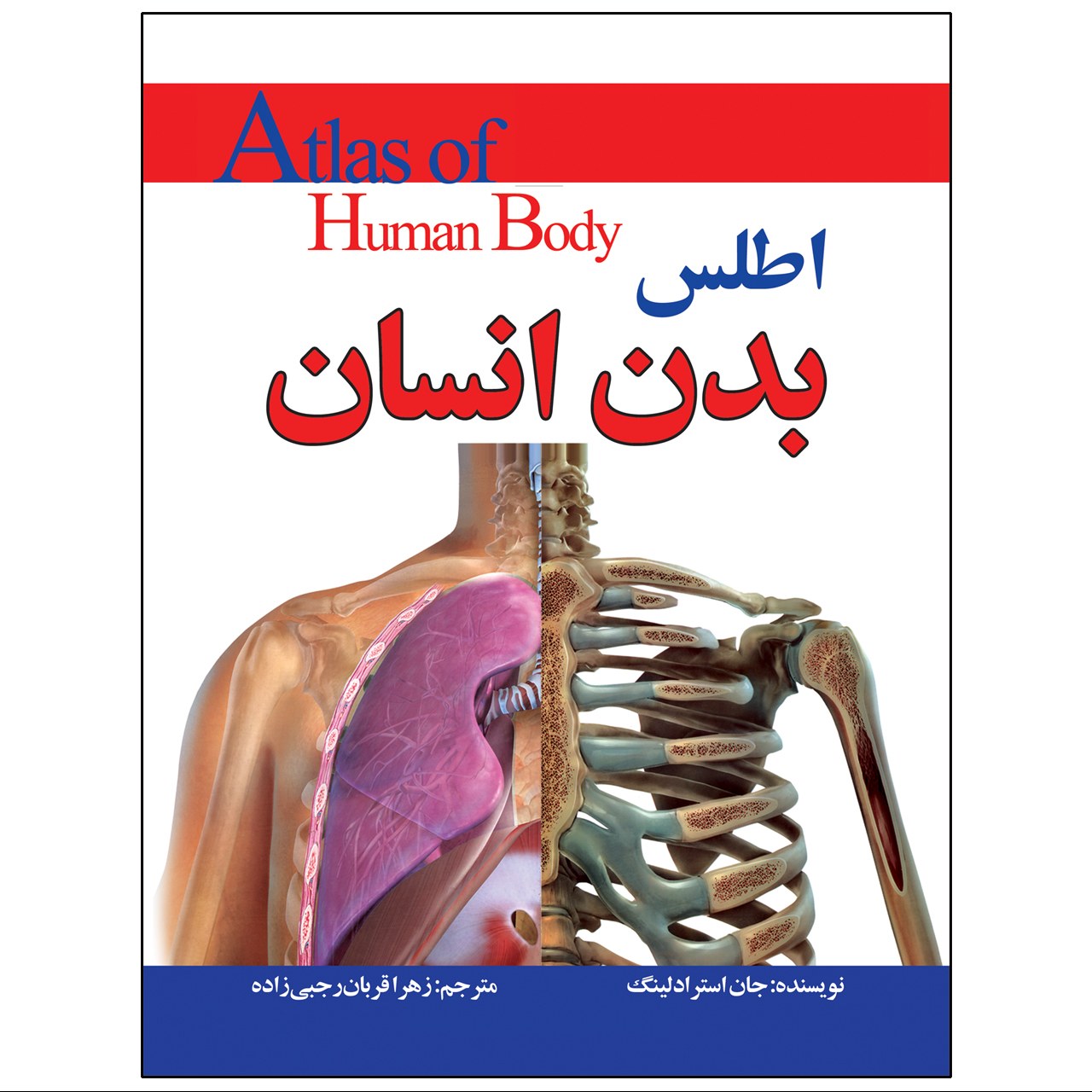 کتاب اطلس بدن انسان اثر جان استرادلینگ ترجمه زهرا رجبی زاده انتشارات پیام محراب