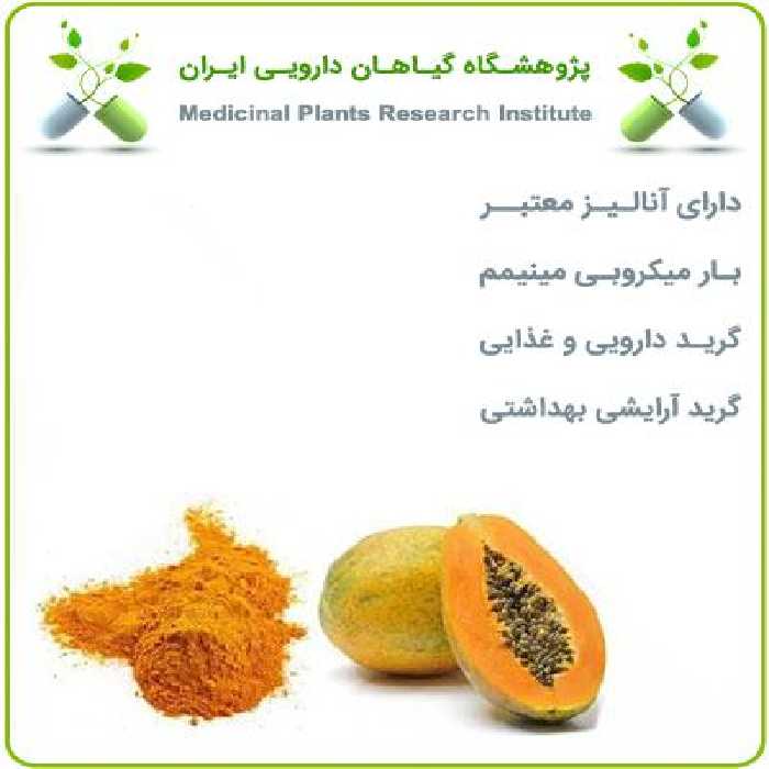 عصاره پاپایا خشک (پودری)