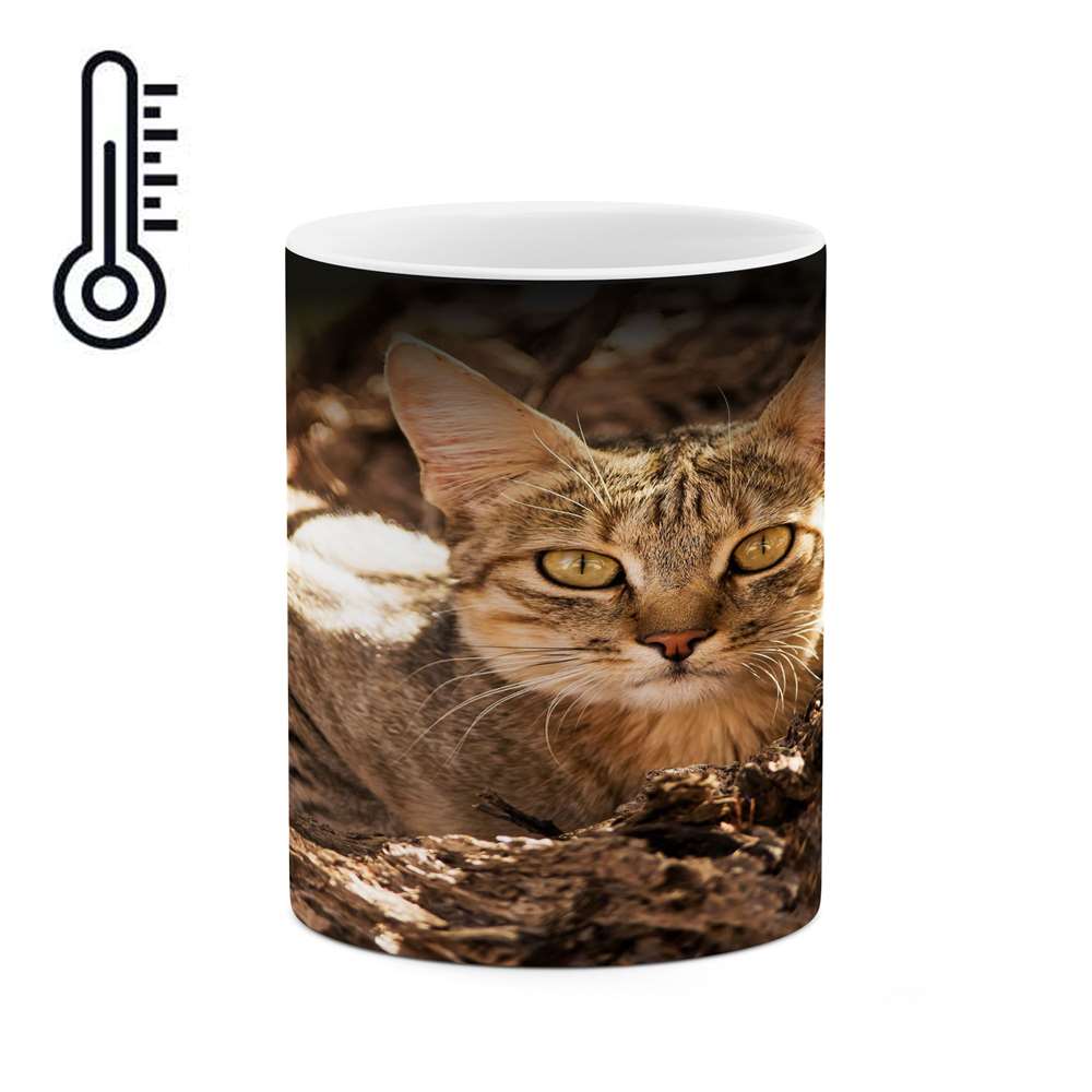 ماگ حرارتی کاکتی طرح گربه مدل mgh17973