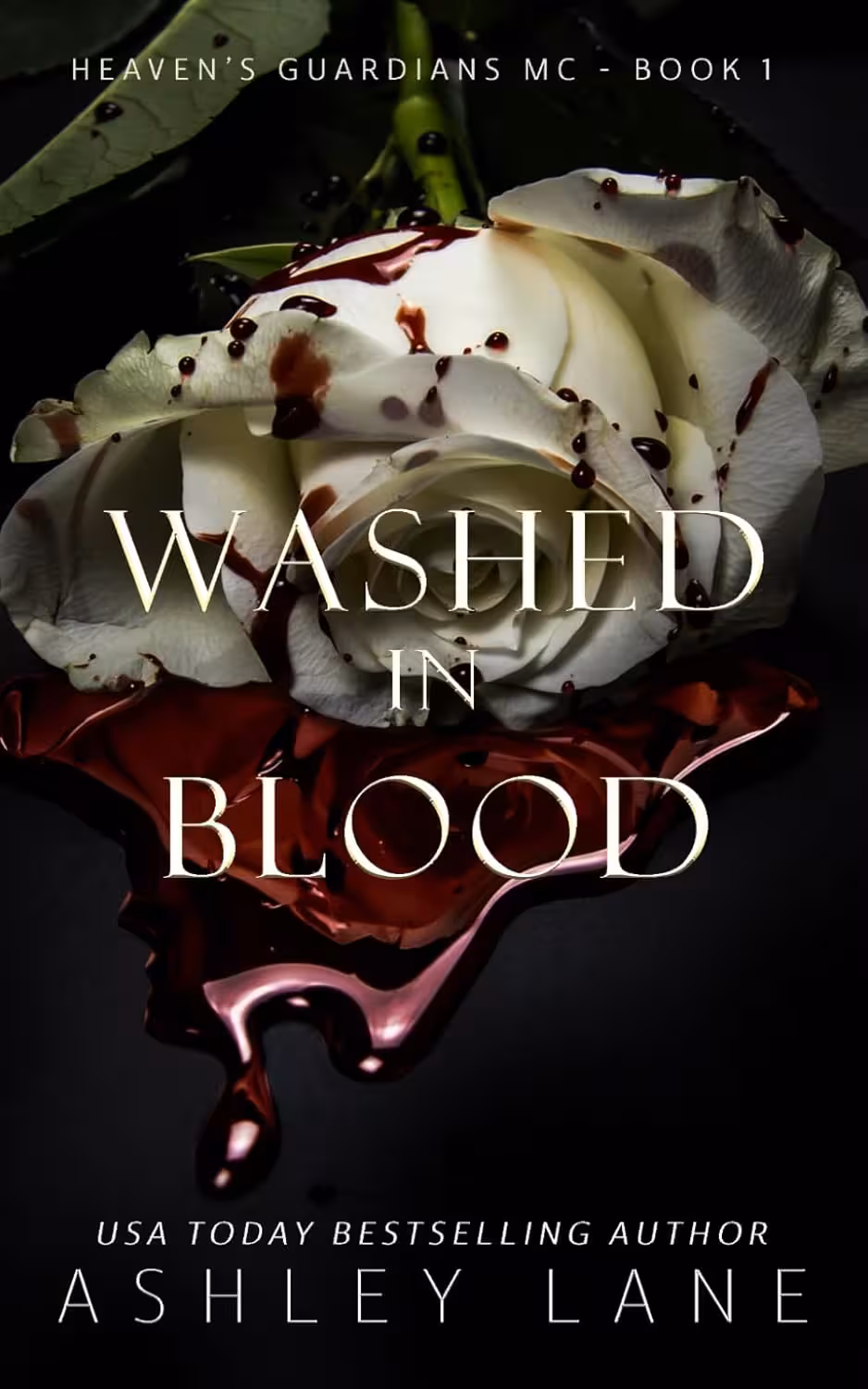 Washed In Blood (Heaven’s Guardians MC Book 1)