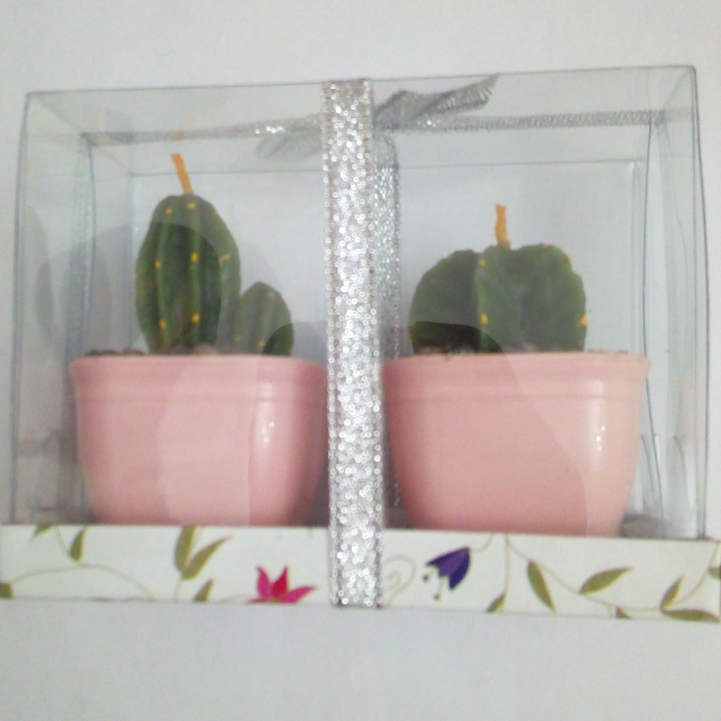 شمع طرح کاکتوس