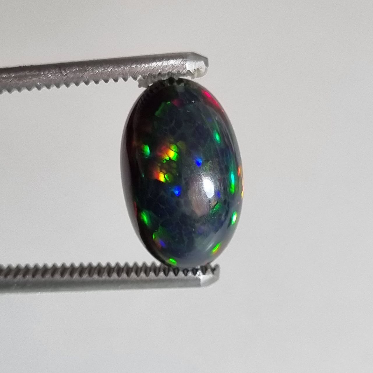 سنگ اوپال معدنی سیاه بیضی شناسه 8199