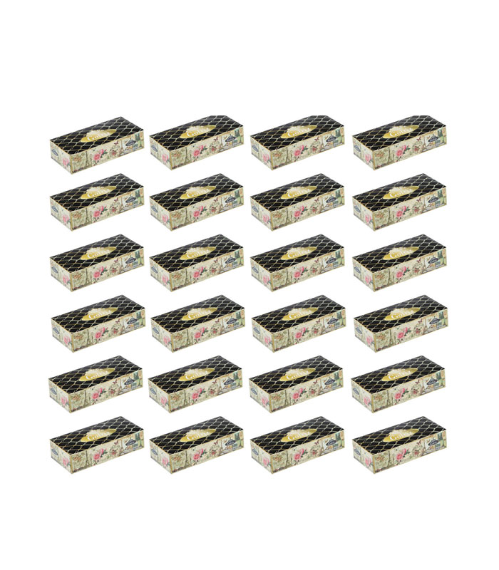 دستمال کاغذی 100 برگ گلریز مدل پاریس بسته 24 عددی