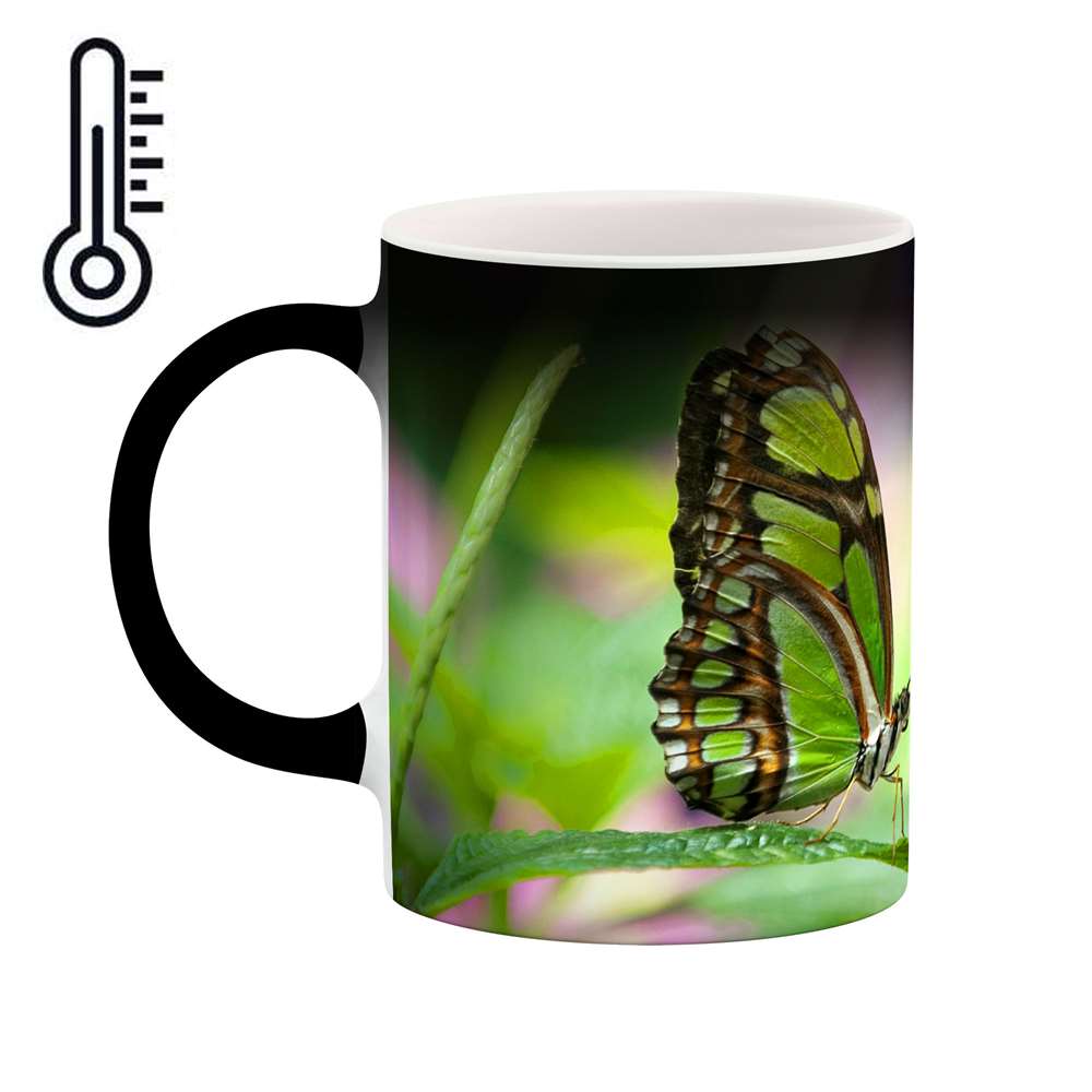 ماگ حرارتی طرح پروانه مدل mgh12088