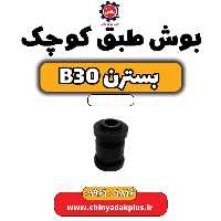بوش طبق کوچک بسترن B30