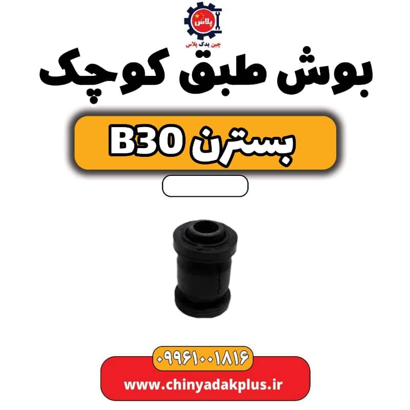 بوش طبق کوچک بسترن B30