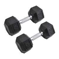 دمبل رکورد مدل 1400 وزن 10 کیلوگرم بسته 2 عددی