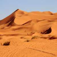 خرید و دانلود عکس Nature-Part-9 کد 37357 | پیک فاکس | Pic Fox