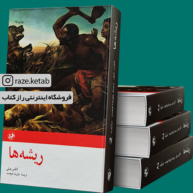 کتاب ریشه ها (الکس هیلی) (انتشارات امیرکبیر)