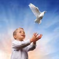 خرید و دانلود عکس IranBCS کد 29298 | پیک فاکس | Pic Fox