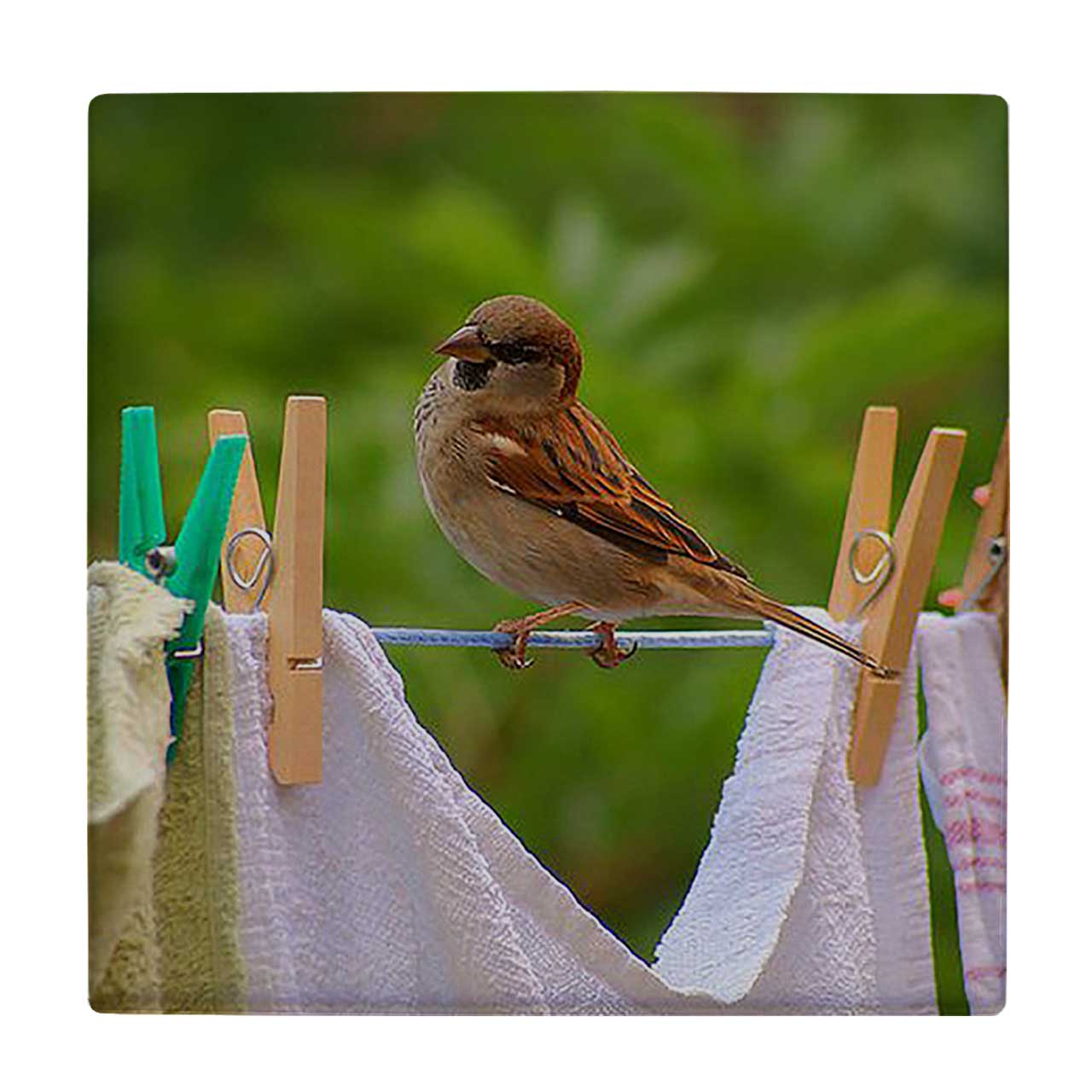 کاشی کارنیلا طرح گنجشک روی بند رخت کد wkk3647