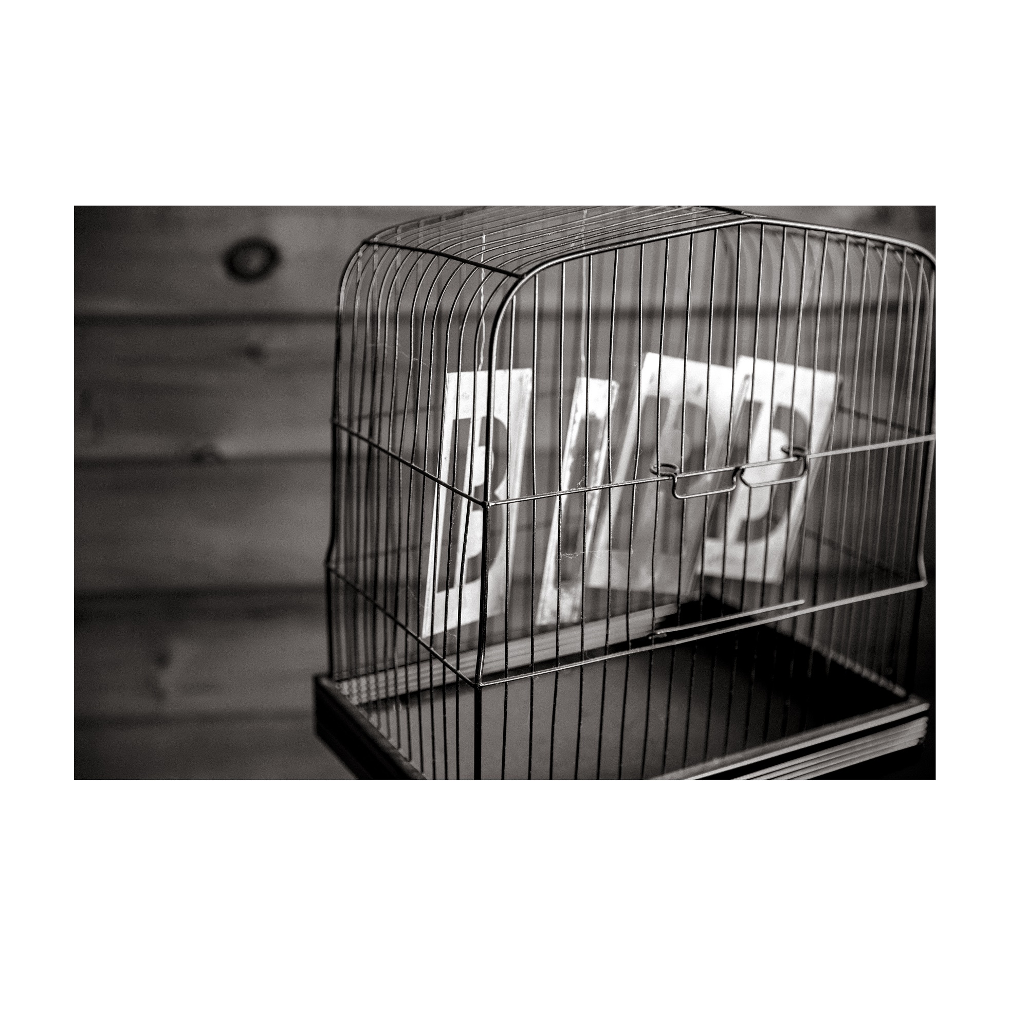 تابلو شاسی جوان مدل حبس قفس