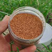 خاکشیر اعلا 100 گرمی  