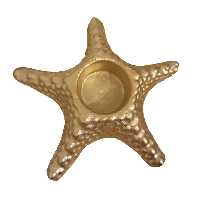 جاشمعی مدل ستاره دریایی