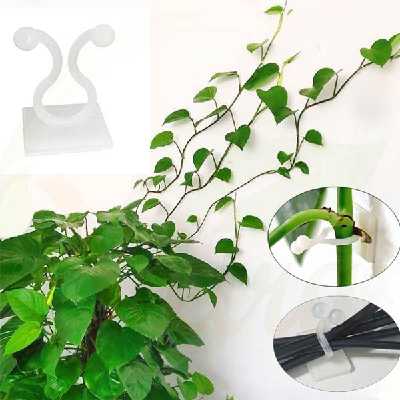 قیم بند مدل پتوس بسته 10 عددی