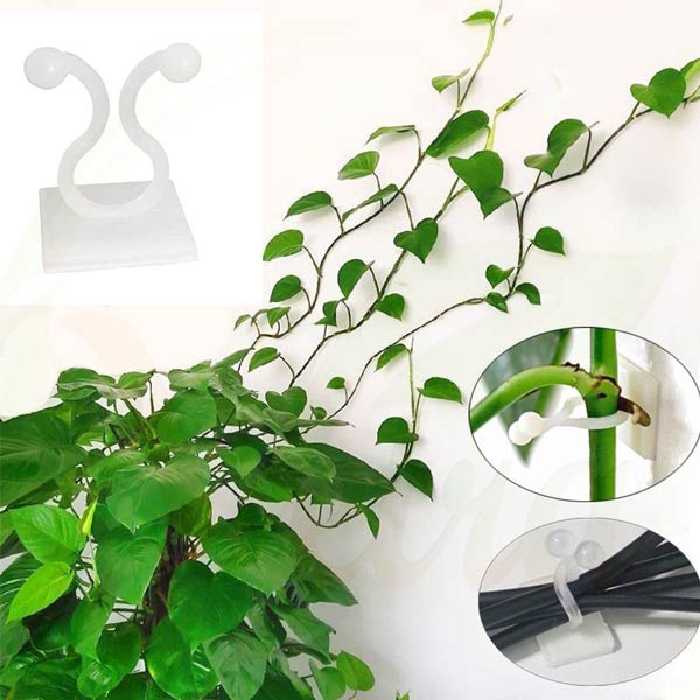 قیم بند مدل پتوس بسته 10 عددی