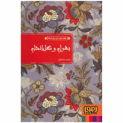 کتاب بهرام و گل اندام اثر امین الدین محمد صافی