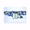برچسب پوششی ماهوت مدل Penguin مناسب برای تبلت اپل iPad Pro 11 (GEN 2) 2020 A2228