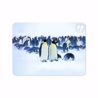 برچسب پوششی ماهوت مدل Penguin مناسب برای تبلت اپل iPad Pro 11 (GEN 2) 2020 A2228