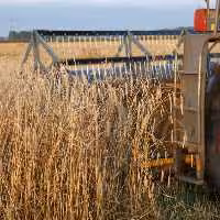 خرید و دانلود عکس Harvesting Wheat کد 25068 | پیک فاکس | Pic Fox