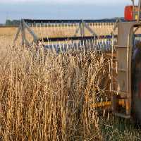 خرید و دانلود عکس Harvesting Wheat کد 25068 | پیک فاکس | Pic Fox