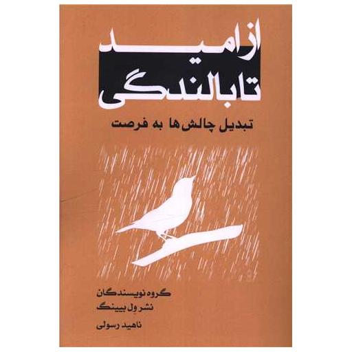 کتاب از امید تا بالندگی اثر گروه نویسندگان نشر ول بیینگ