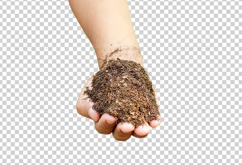 عکس PNG خاک در دست مناسب برای طراحی | گرافیک با طعم تربچه