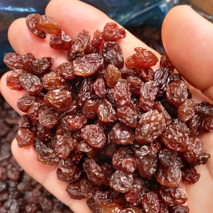 کشمش افتابی (1 کیلویی)