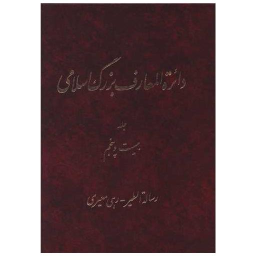کتاب دایره المعارف بزرگ اسلامی (جلد 25)(رحلی) اثر کاظم موسوی بجنوردی