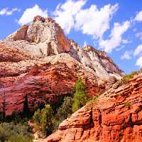 خرید و دانلود عکس Nature-Part-6 کد 37098 | پیک فاکس | Pic Fox